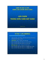 Kinh tế học vi mô dành cho chính sách công   bài giảng 12 lựa chọn trong điều kiện bất định 
