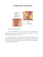 Tài liệu Giáo trình Nứt Hậu Môn (Anal fissure) ppt