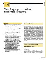 Tài liệu CLINICAL PHARMACOLOGY 2003 (PART 16) pptx