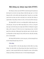 Tài liệu Hội chứng suy nhược mạn tính (SNMT) ppt