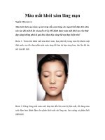 Tài liệu Màu mắt khói xám lãng mạn docx