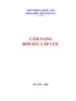 Tài liệu Cẩm nang Hồi sức cấp cứu doc