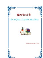 Báo cáo đề tài  tác động môi trường 