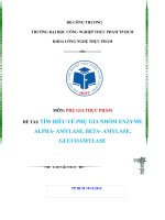 TÌM HIỂU VỀ PHỤ GIA NHÓM ENZYMEALPHA- AMYLASE, BETA- AMYLASE,GLUCOAMYLASE