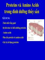 Tài liệu Proteins và Amino Acids trong thức ăn thủy sản pptx