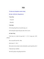 Tài liệu Mỡ docx