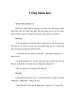 Tài liệu Trồng hành hoa pptx