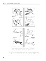 Tài liệu Drawing by Lauren Jarrett and Lisa Lenard- P2 ppt