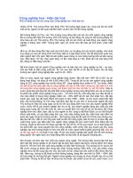 Tài liệu Công nghiệp hoá - Hiện đại hoá ppt