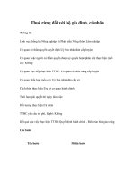 Tài liệu Thuê rừng đối với hộ gia đình, cá nhân doc