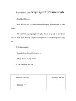 Tài liệu Luyện từ và câu - LUYỆN TẬP VỀ TỪ NHIỀU NGHĨA (2) doc