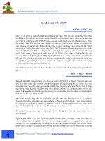 Tài liệu XI MĂNG SÀI SƠN- COROMANDEL CEMENTS LTD ppt