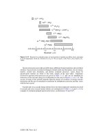 Tài liệu Hanbook of LASERS P1 ppt