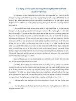 Tài liệu Xây dựng kế toán quản trị trong Doanh nghiệp sản xuất kinh doanh ở Việt Nam docx