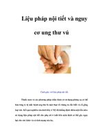 Tài liệu Liệu pháp nội tiết và nguy cơ ung thư vú docx