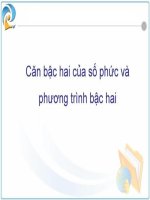 Tài liệu Căn bậc hai của số phức và phương trình bậc hai docx