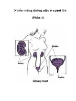 Tài liệu Nhiễm trùng đường niệu ở người lớn (Phần 1) docx