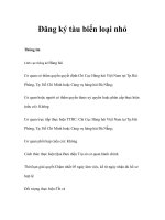 Tài liệu Đăng ký tàu biển loại nhỏ ppt