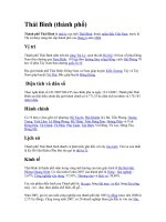 Tài liệu Thái Bìn1 doc