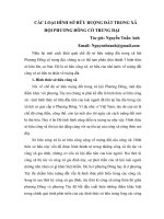 Tài liệu CÁC LOẠI HÌNH SỞ HỮU RUỘNG ĐẤT TRONG XÃ HỘI PHƯƠNG ĐÔNG CỔ TRUNG ĐẠI pdf