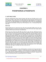 Tài liệu Giáo trình hóa môi trường P9 ppt
