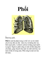 Tài liệu Phổi doc