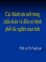 Tài liệu BỆNH PHỔI TẮC NGHẼN MẠN TÍNH (COPD 2) pptx