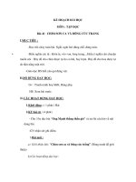 Tài liệu Tập đọc 2 - CHIM SƠN CA VÀ BÔNG CÚC TRẮNG, VÈ CHIM ppt