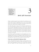 Tài liệu Programming the Be Operating System-Chapter 3: BeOS API Overview doc