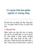 Tài liệu Cơ quan tiêu hoá phân ngành có xương sống docx