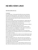 Tài liệu Giới thiệu HDH Linux pdf