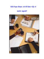 Tài liệu Khi bạn được cử đi làm việc ở nước ngoài! ppt