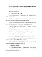 Tài liệu Kỹ thuật chăm sóc Bò đực giống và Bê lai pdf