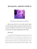 Tài liệu Sán lá gan lớn - nhận biết và thuốc trị ppt