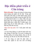 Tài liệu Đặc điểm phát triển ở Côn trùng docx