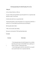 Tài liệu Thi nâng ngạch giảng viên chính lên giảng viên cao cấp docx