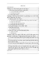 chiến lược kinh doanh và sự phù hợp của cơ cấu tổ chức đối với chiến lược của công ty dịch vụ tổng hợp SAVICO