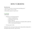 Tài liệu GIÁO TRÌNH RĂNG VÀ BỘ RĂNG docx