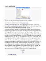 Virus máy tính căn bản