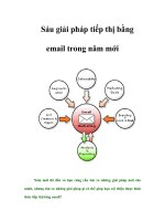 Tài liệu Sáu giải pháp tiếp thị bằng email trong năm mới doc