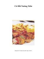 Tài liệu Cá Hồi Nướng Xiên doc