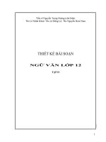 Tài liệu Giáo án ngữ văn lớp 12 docx