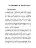 Tài liệu Kinh nghiệm trồng sầu riêng Monthoong ppt