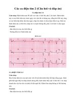 Tài liệu Các ca điện tim 2 (Câu hỏi và đáp án) doc