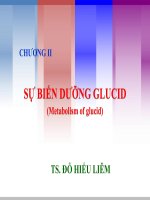 Chuong II Sinh hóa động-SỰ BIẾN DƯỠNG GLUCID