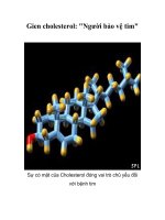 Tài liệu Gien cholesterol: 