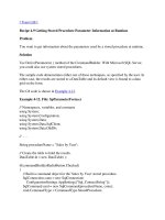 Tài liệu Getting Stored Procedure Parameter Information at Runtime ppt