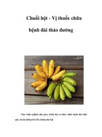 Tài liệu Chuối hột - Vị thuốc chữa bệnh đái tháo đường pptx