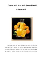 Tài liệu Candy, sách lược kinh doanh lớn với trái cam nhỏ pptx