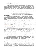 Tài liệu Process description - dây chuyền công nghệ định cố pdf
